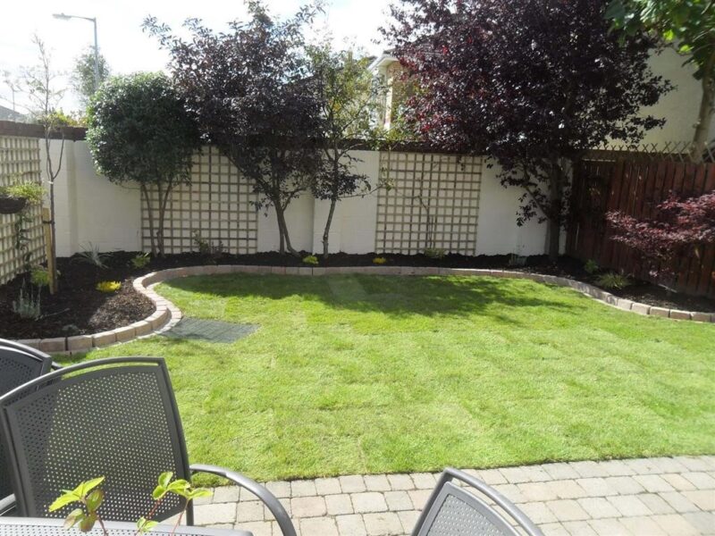 Lawn Turfing